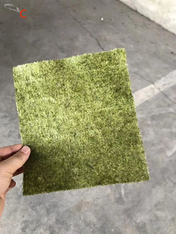 Couleur vert foncé 100 feuilles de qualité différente Algues séchées grillées Sushi Nori