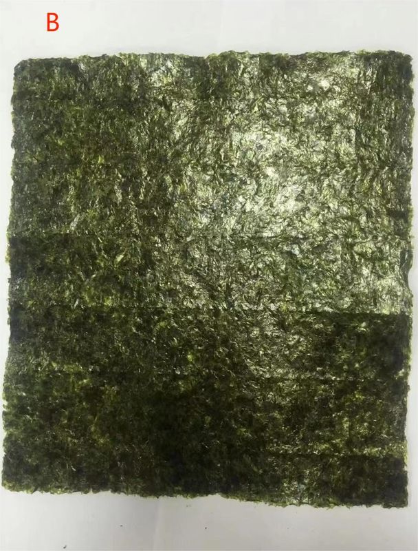 Des algues grillées Alga Yaki Sushi Nori Gold Green Pour le restaurant de cuisine asiatique