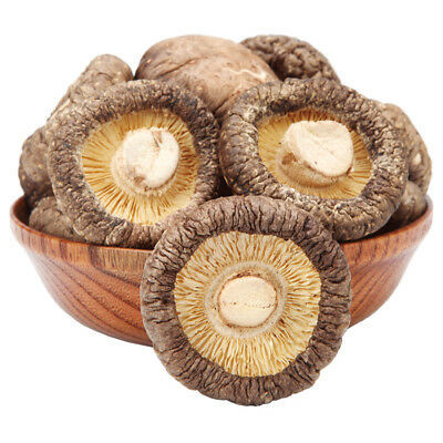 Champignons de shiitaké secs par nutrition élevée Brown foncé pour la cuisson