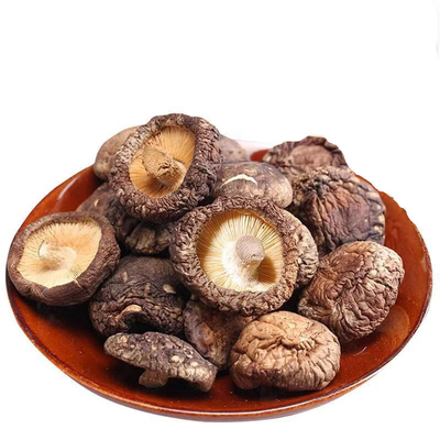 Les champignons de shiitake séchés de taille moyenne