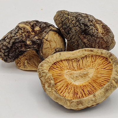 Nourriture quotidienne Champignons shiitake secs bruns stockés à sec