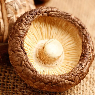 Les champignons Shiitake secs riches en protéines avec un goût et une texture de champignon