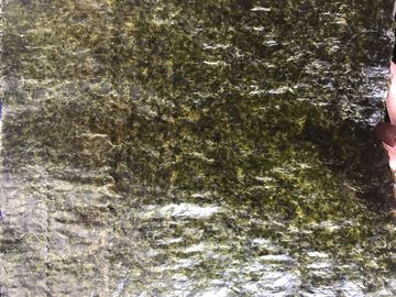 le wasabi de 19x21CM a assaisonné l'algue, feuilles d'algue sèches de Nori de sushi