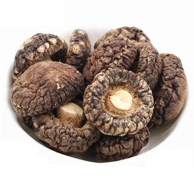 Champignon shiitake plat brun déshydraté avec une odeur champignonneuse intense