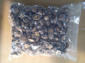 Humidité sèche saine du champignon de shiitaké 11% aucune odeurs étrangères
