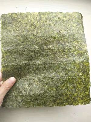 Enveloppez les feuilles de la nourriture 50 emballent l'algue rôtie sèche Nori Dark Green